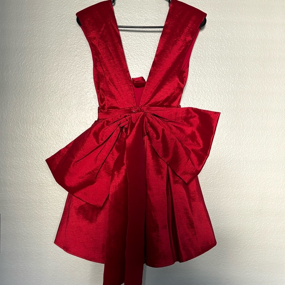 FL&L ROSE MINI DRESS - Picture 2 of 3